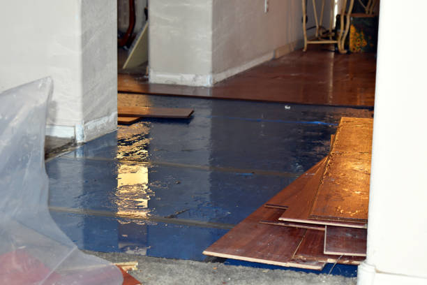 Professional Water Damage Restoration technician working in Crescent City, CA